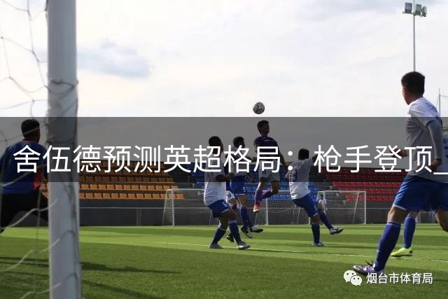 舍伍德预测英超格局：枪手登顶 曼城蓝军紧随 红魔仅列第六